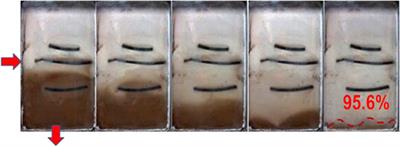 Experimental Study on Sweep Characteristics of Gas Gravity Drainage in the Interlayer Oil Reservoir